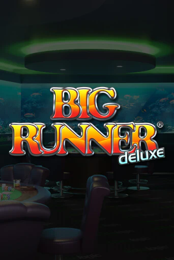 Бесплатная версия игры Big Runner Deluxe | VAVADA KZ 